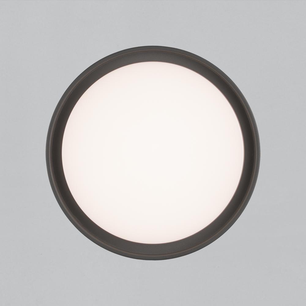 Kuma Outdoor Ceiling Light