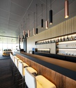 Ray LED Suspension Lamp