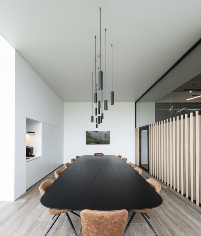 Ray PAR16 Suspension Lamp