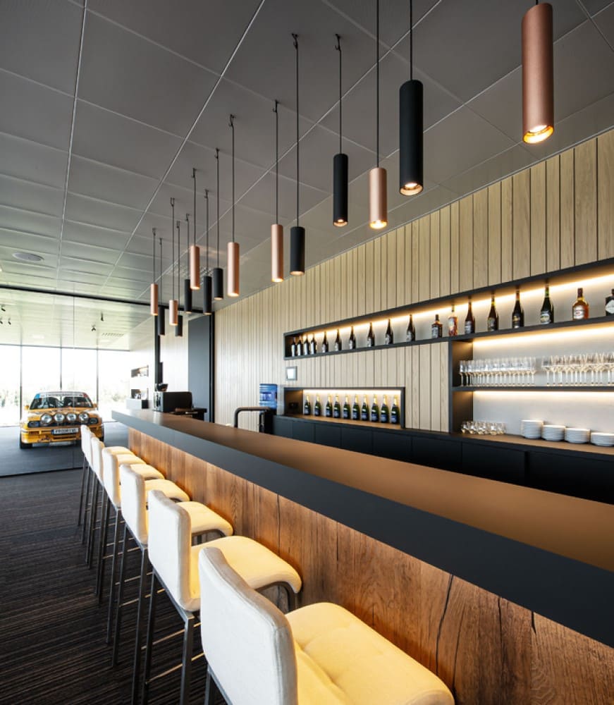 Ray PAR16 Suspension Lamp