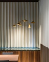 Odrey 1.5 PAR16 Suspension Lamp