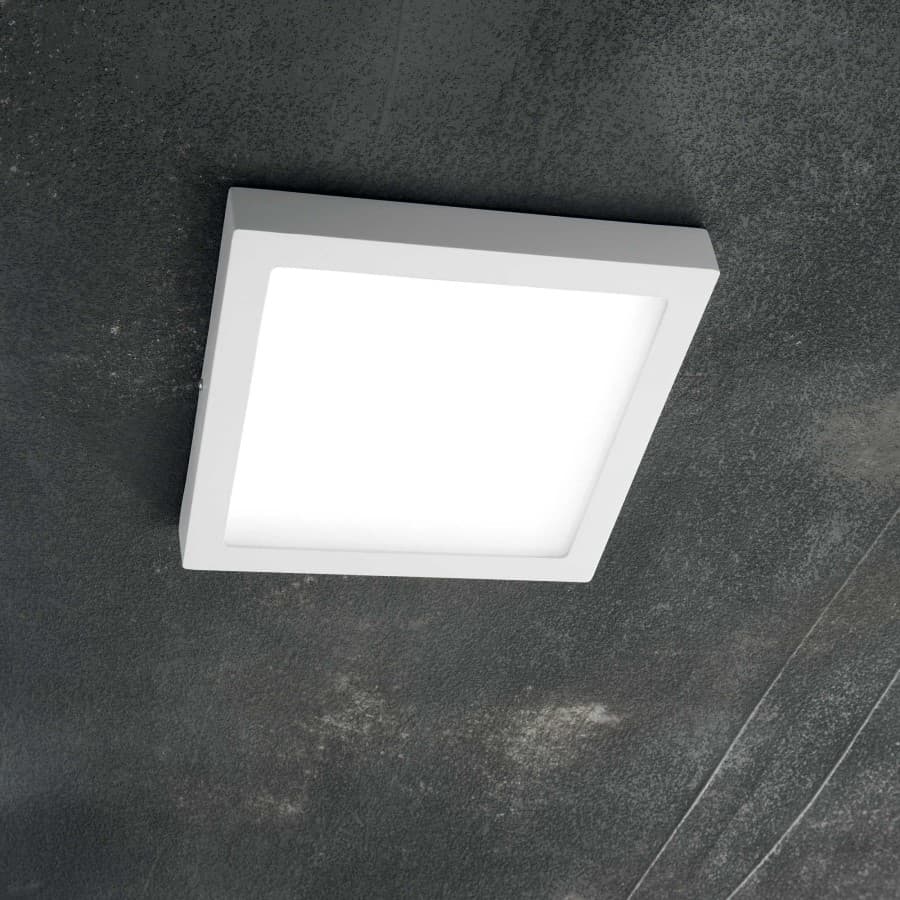 Universal Square Wall and Ceiling Light
