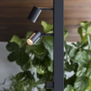 Ego Floor Lamp