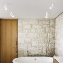 Dynamite Ceiling Light