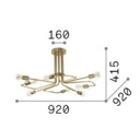 Triumph Ceiling Light
