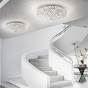 King Ceiling Light
