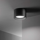 Spike Ceiling Light