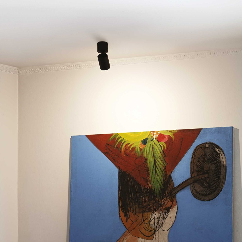 Toby Ceiling Light