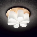 Daisy Ceiling Light