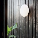 Bubble Ceiling and Wall Light