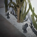 Terra Wall Light