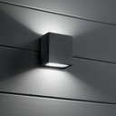 Argo Wall Light