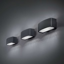Andromeda Wall Light