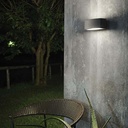 Andromeda Wall Light
