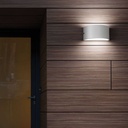 Rex-2 Wall Light