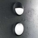 Lucia Wall and Ceiling Light