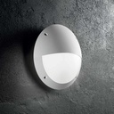 Lucia Wall Light
