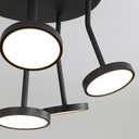 Corvus Ceiling Light