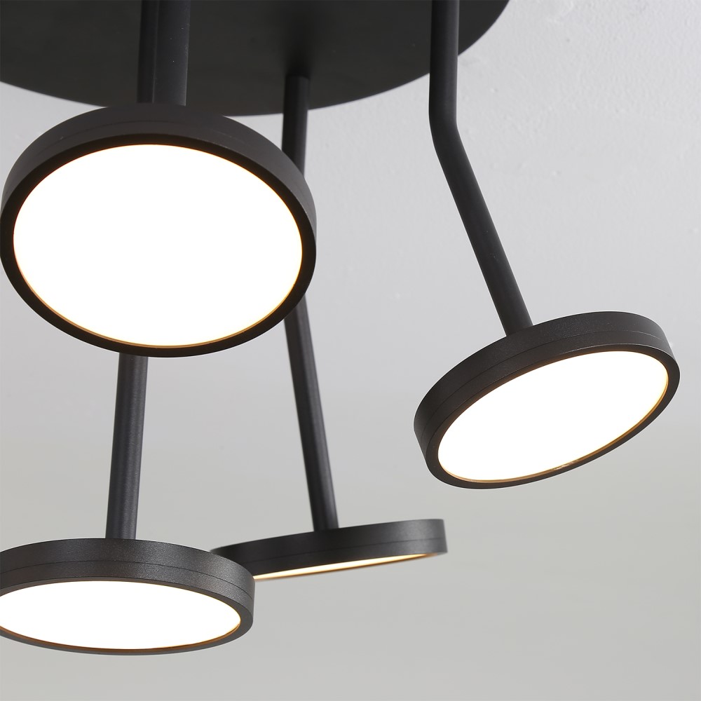 Corvus Ceiling Light