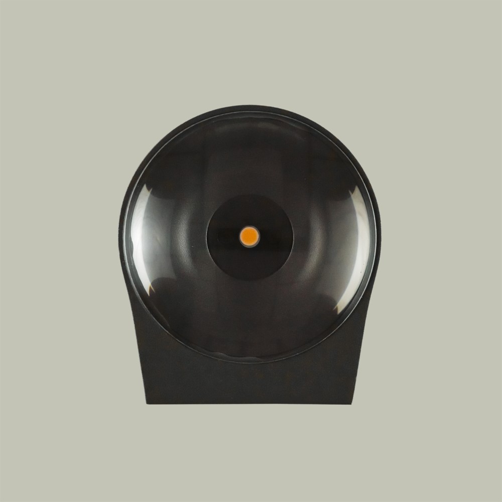 Ania Outdoor Wall Light