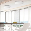 Moon Ceiling Lamp