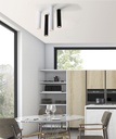 Zoom Ceiling Light