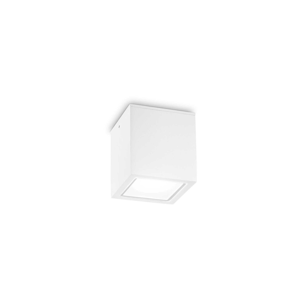 Ideal lux Techo zunanja stropna svetilka | formasvetila.si