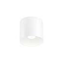 Wever &amp; Ducré Ray 1.0 LED stropna svetilka | formasvetila.si