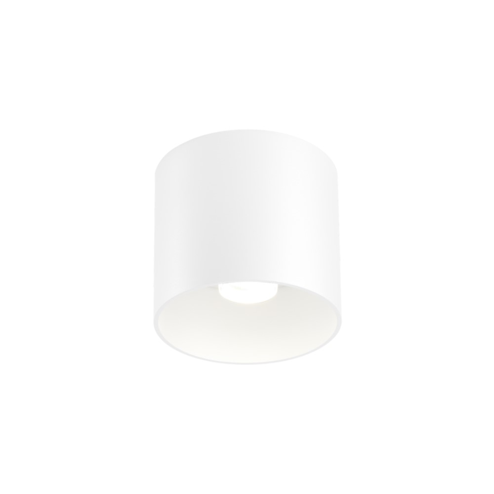 Wever &amp; Ducré Ray 1.0 LED stropna svetilka | formasvetila.si