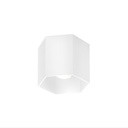 Wever &amp; Ducré Hexo 1.0 LED stropna svetilka | formasvetila.si