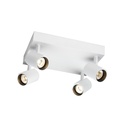 Wever &amp; Ducré Ceno 4.1 LED stropna svetilka | formasvetila.si
