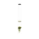 Vibia Palma 3724 viseča svetilka | formasvetila.si
