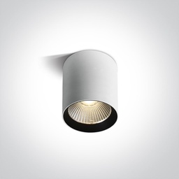 COB Cylinders zunanja stropna svetilka (15)