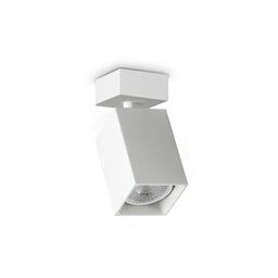 Dynamite Square Spotlight (Bela)