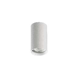 Zoom stropna svetilka (Bela, 10cm)