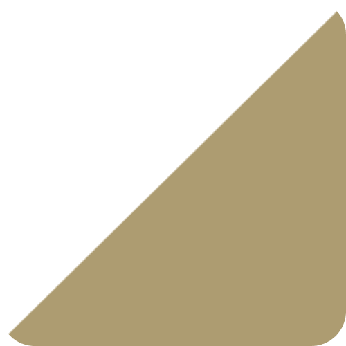 Barva izdelka: White - Champagne