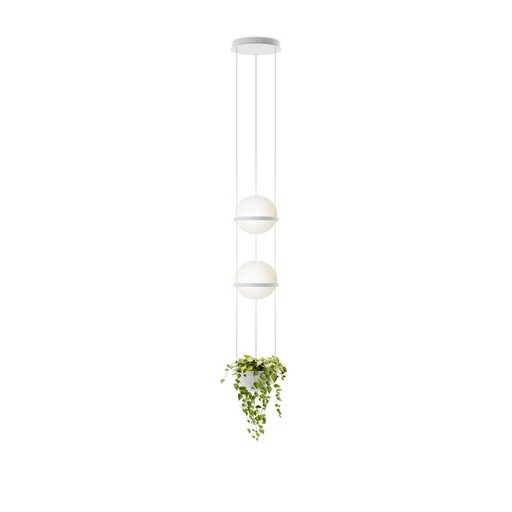 Vibia Palma 3728 viseča svetilka | formasvetila.si