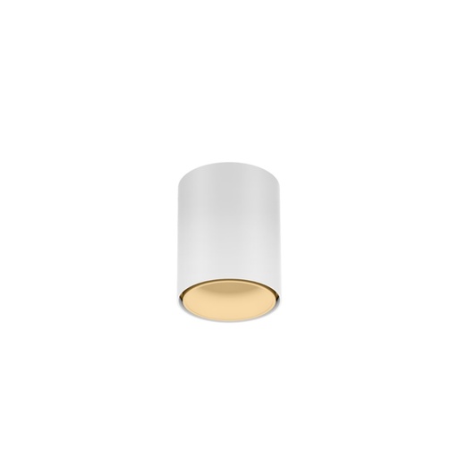 Ray Mini 1.0 LED stropna svetilka