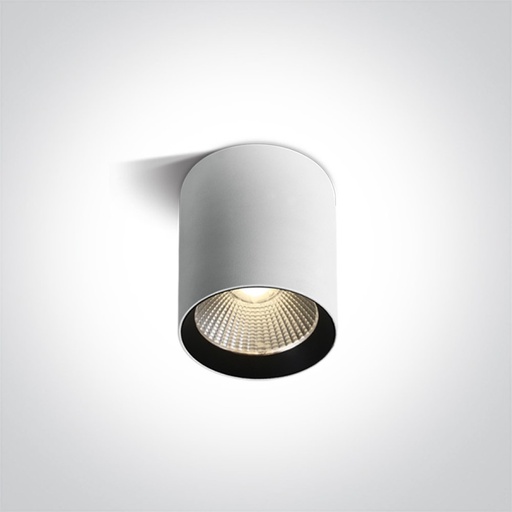 COB Cylinders zunanja stropna svetilka