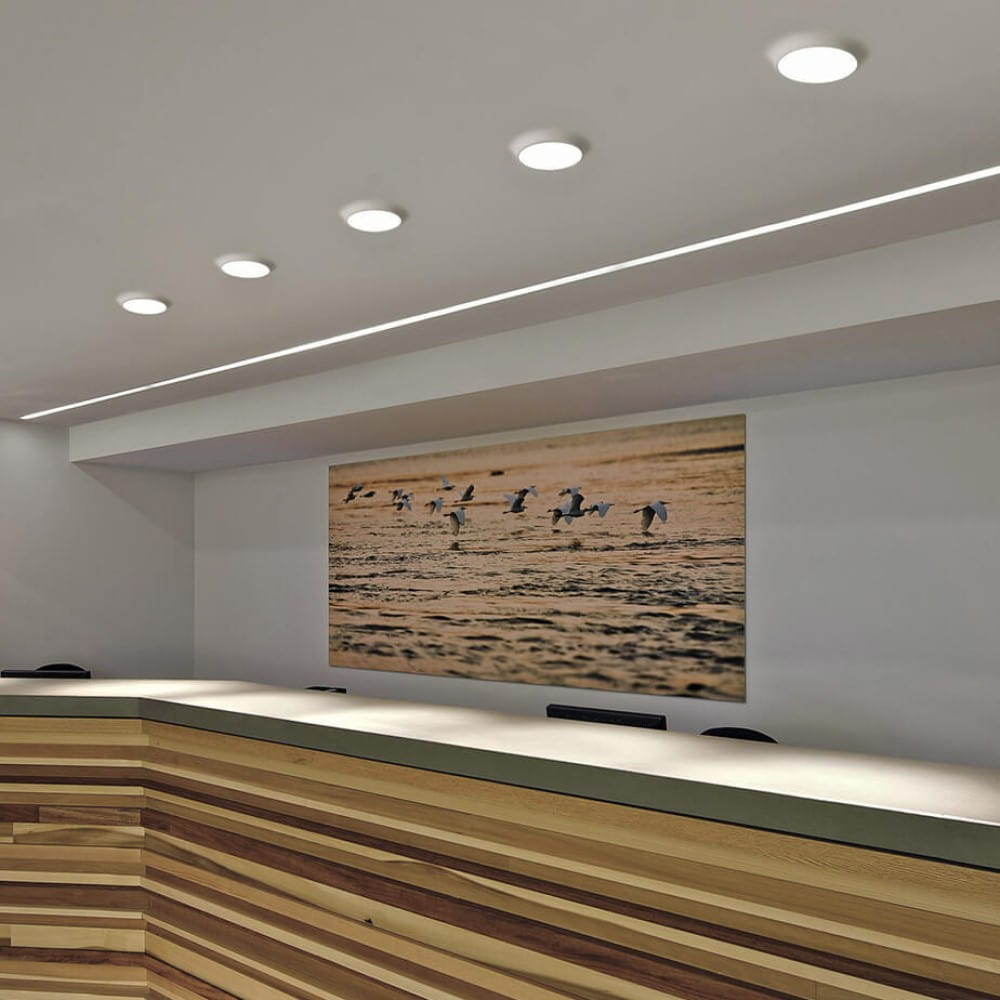 Linea Light Collection Gypsum_R vgradna stropna svetilka | formasvetila.si
