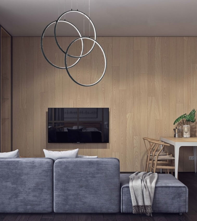 Ideal lux Frame Circle viseča svetilka | formasvetila.si