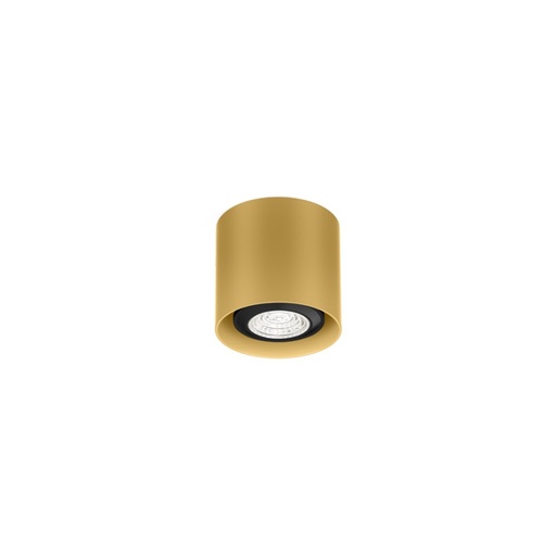 Ray Mini 1.0 PAR16 stropna svetilka